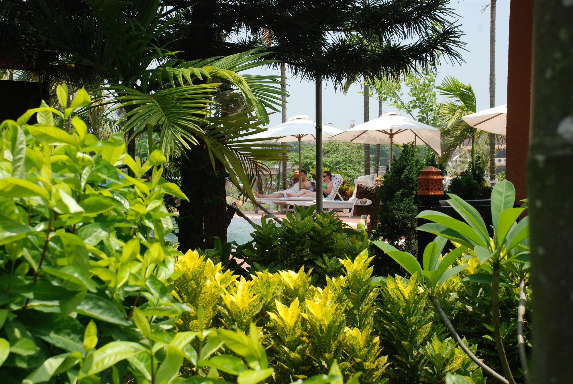 Pho Hoi Riverside Resort Hoi An Esterno foto